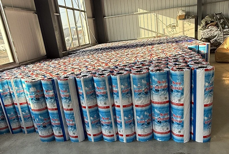 Polyethylene polypropylene membrane production line Equipment